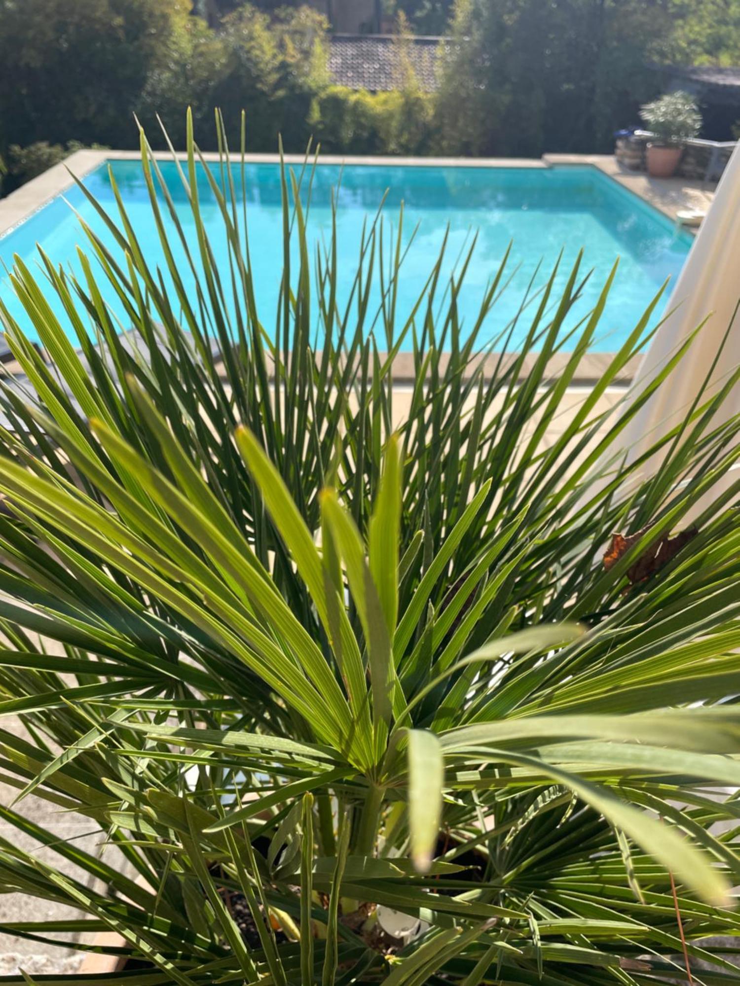 O Coeur Des Ocres Apartment Roussillon  Ngoại thất bức ảnh