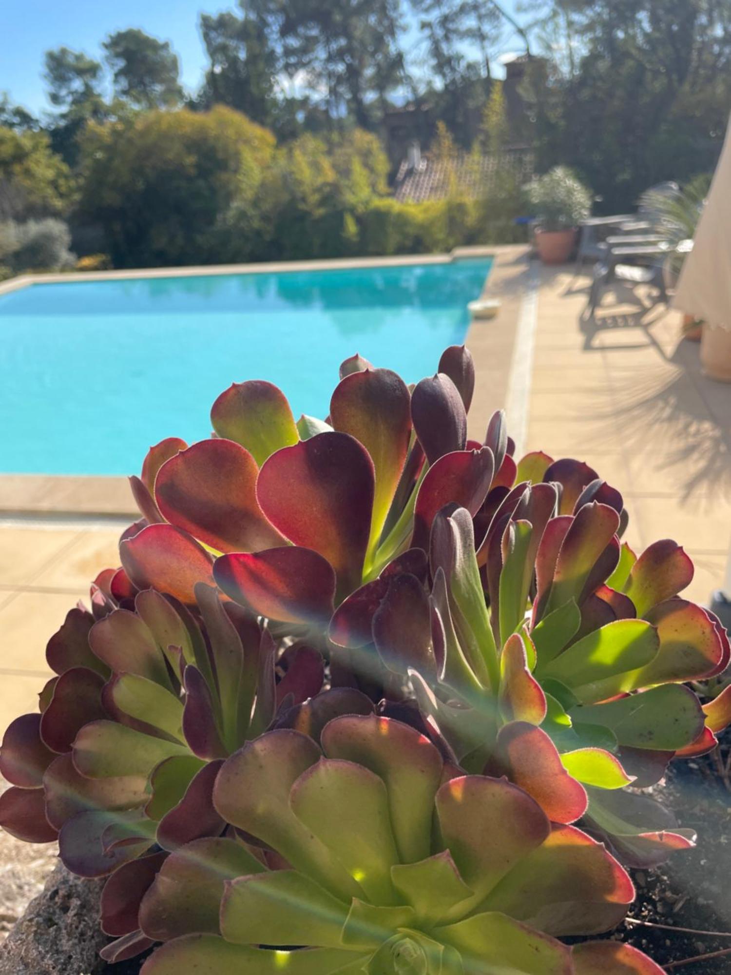 O Coeur Des Ocres Apartment Roussillon  Ngoại thất bức ảnh