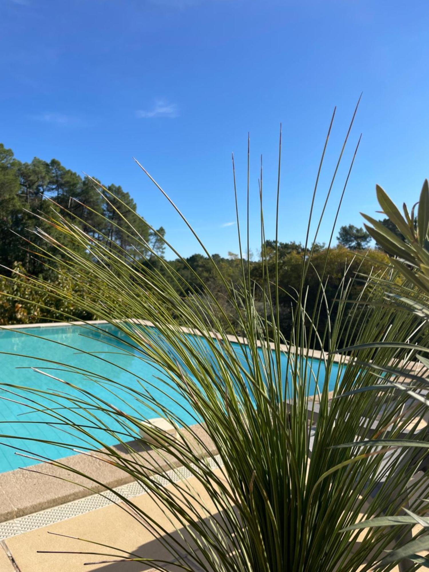 O Coeur Des Ocres Apartment Roussillon  Ngoại thất bức ảnh