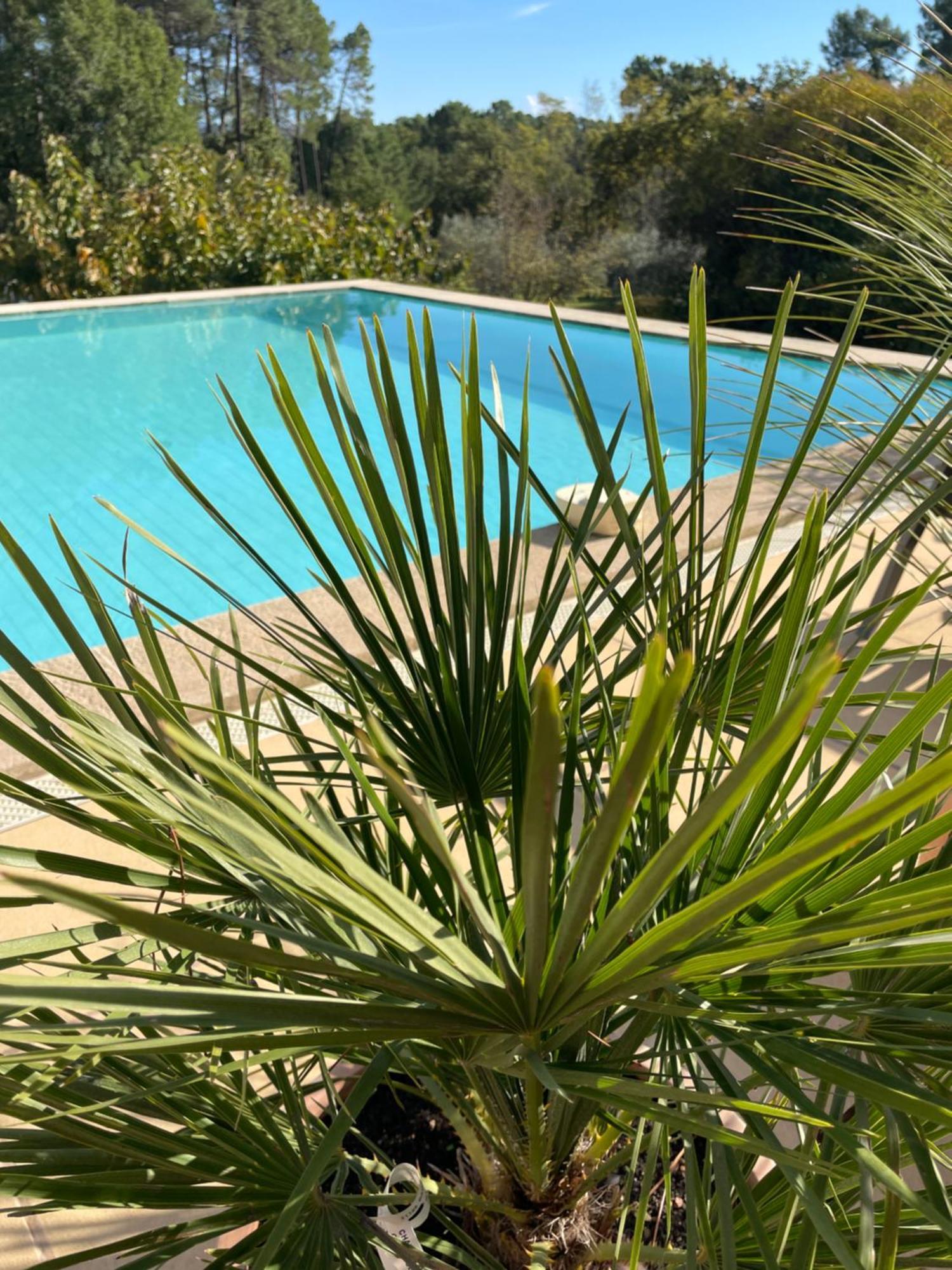 O Coeur Des Ocres Apartment Roussillon  Ngoại thất bức ảnh